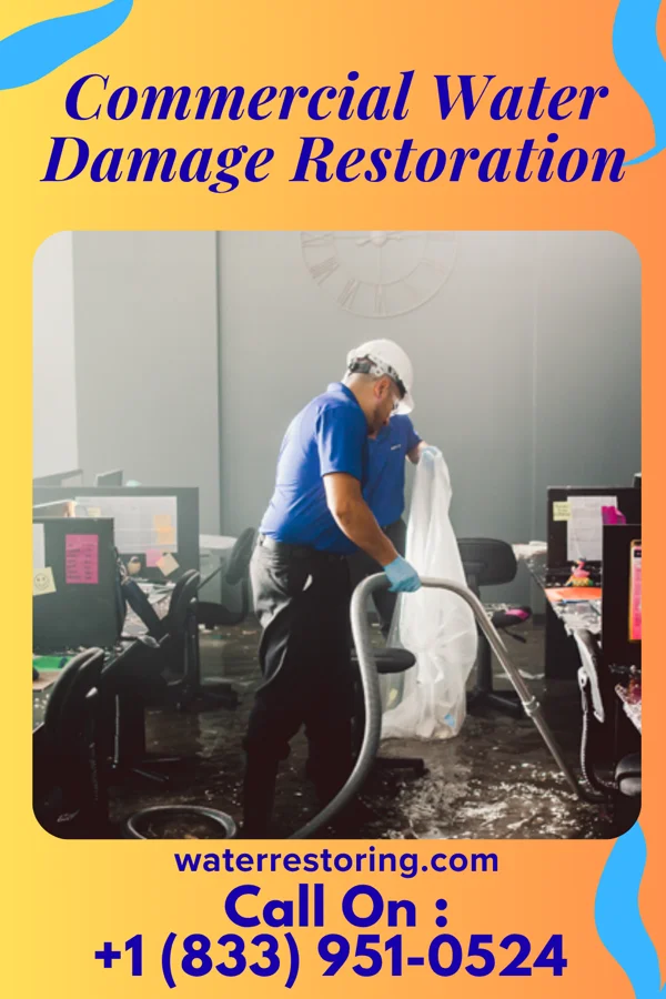 Commercial Water Damage Restoration in Ocean City, WA