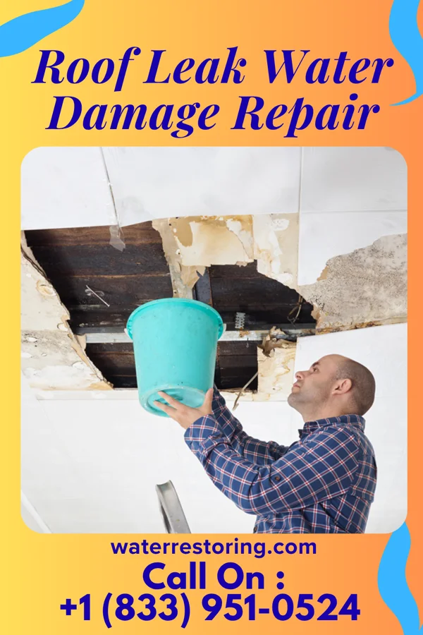Roof Leak Water Damage Repair in Ocean City, WA